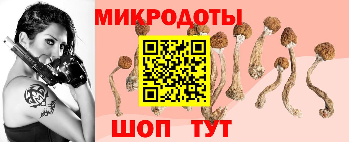 наркотики  Псилоцибиновые грибы мицелий  Вход с VPN  Биробиджан 
